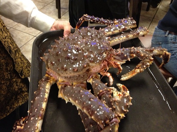 phan biet cac loai cua phân biệt các loại cua