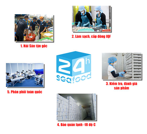 Banner quy trình sản xuất tại nhà máy 24h Seafood