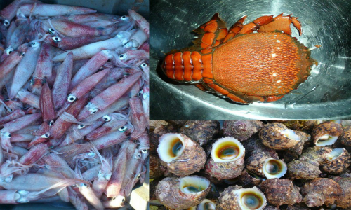 vựa hải sản vua hai san 2