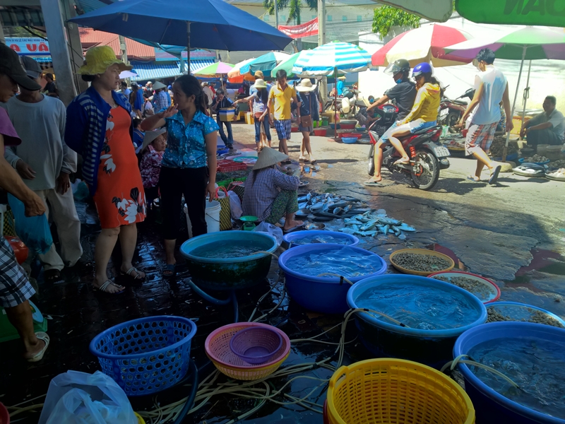 Vựa hải sản Vũng Tàu vua hai san