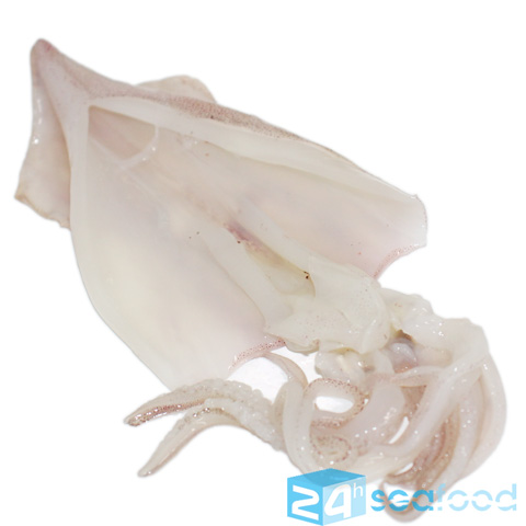 Mực ống xẻ