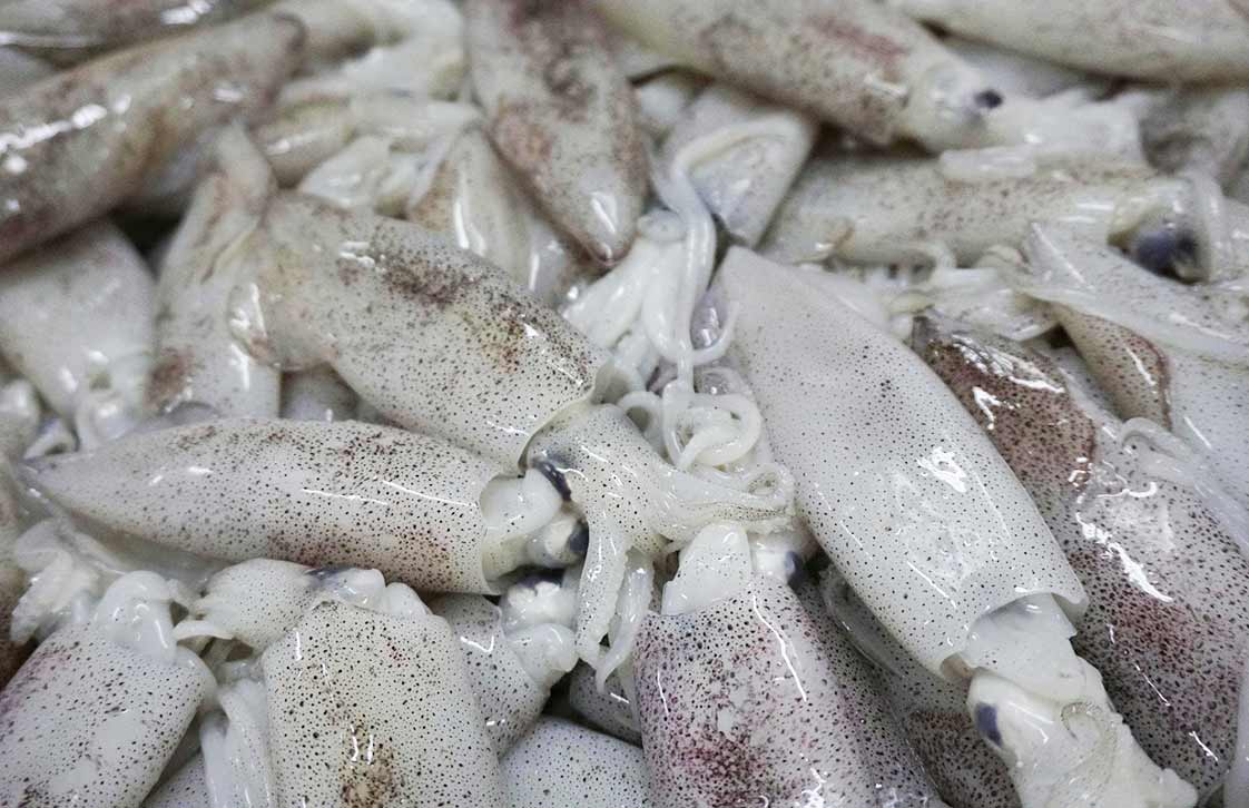 Mực ống Đông lạnh Size Nhỏ