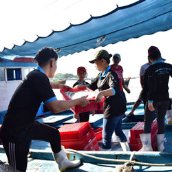 Tàu đánh bắt công ty 24h Seafood