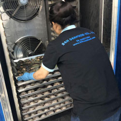 Đông lạnh bạch tuộc tại nhà máy 24h Seafood