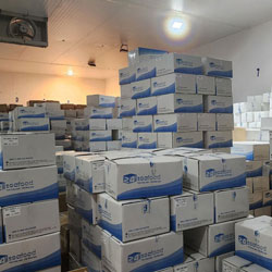 Kho hàng tại nhà máy 24h Seafood