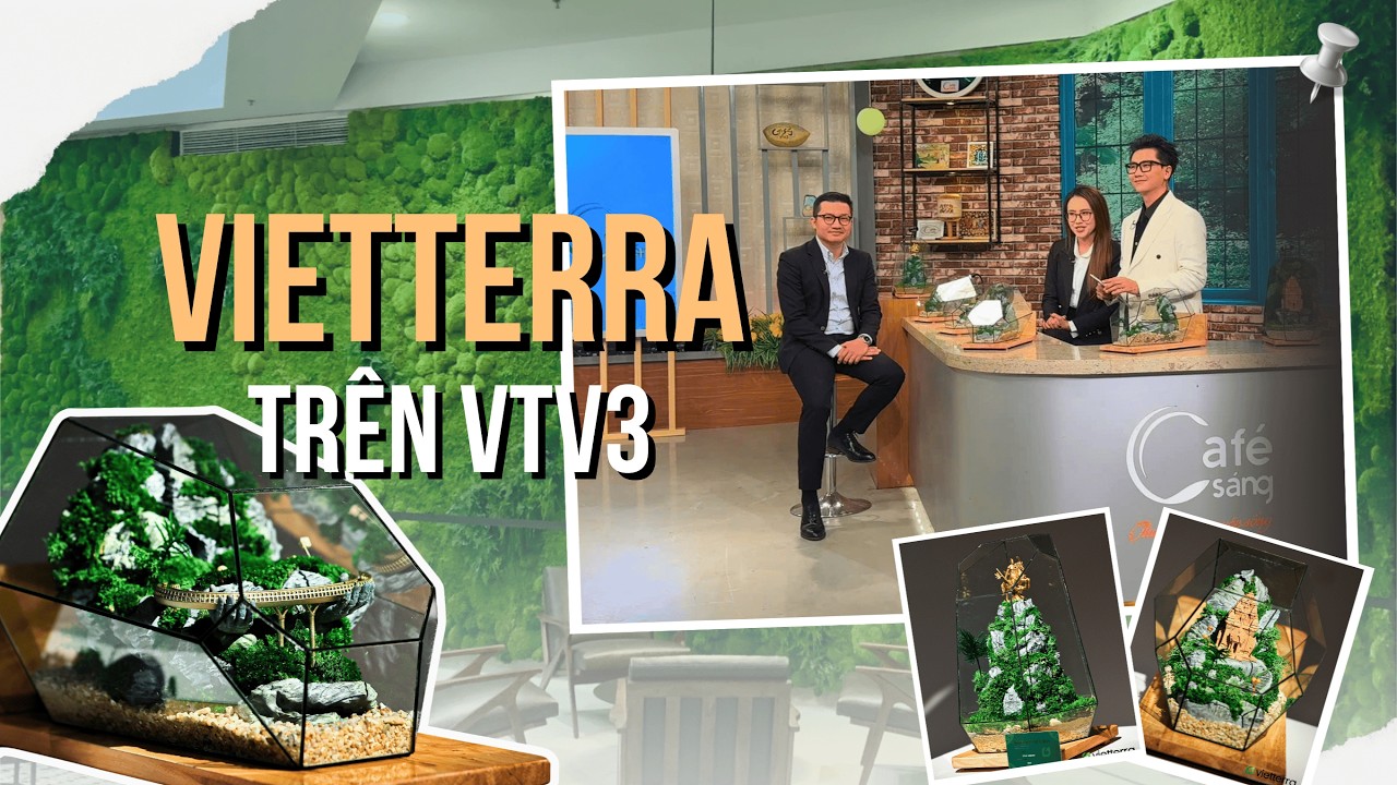 Gói Trọn Tinh Hoa Di Sản Việt Trong Từng Sản Phẩm Xanh Bền Vững | Vietterra