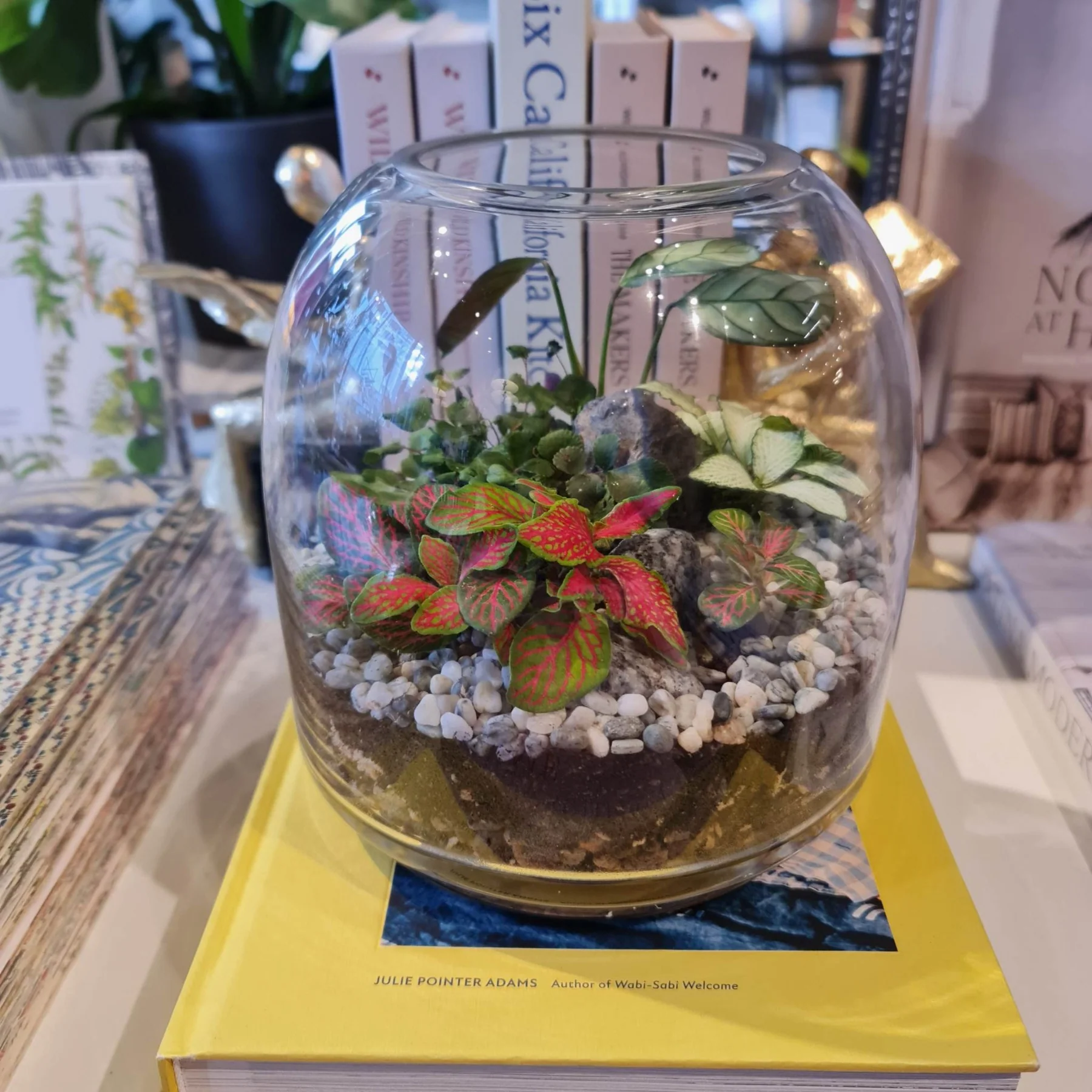 Terrarium là gì? Khám phá các loại Terrarium phổ biến, đẹp và độc đáo