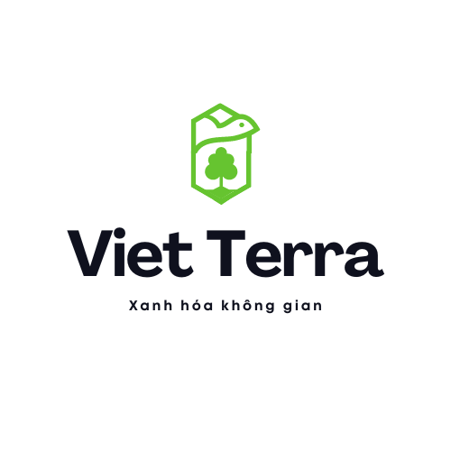 Mua Terrarium Hà Nội
