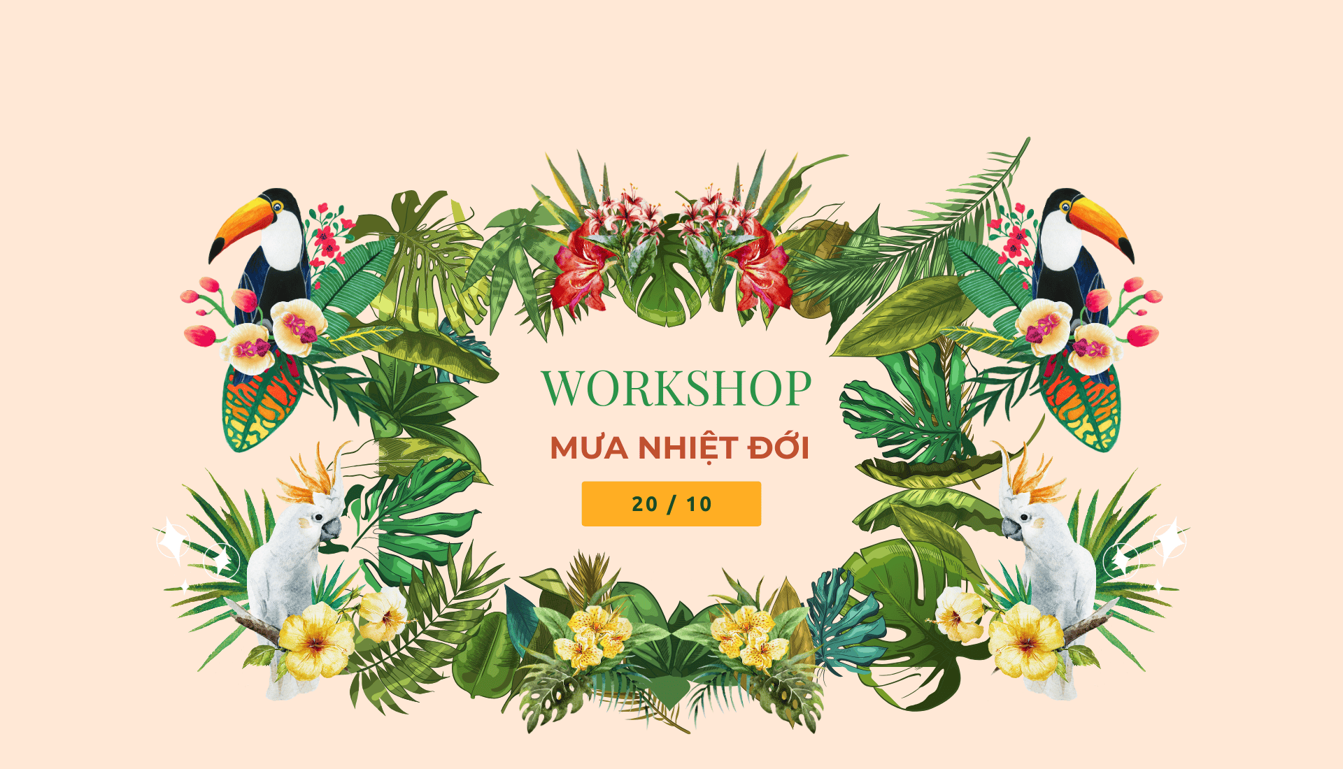 Back2School Siêu deal 250+ Bể Terra giá sinh viên