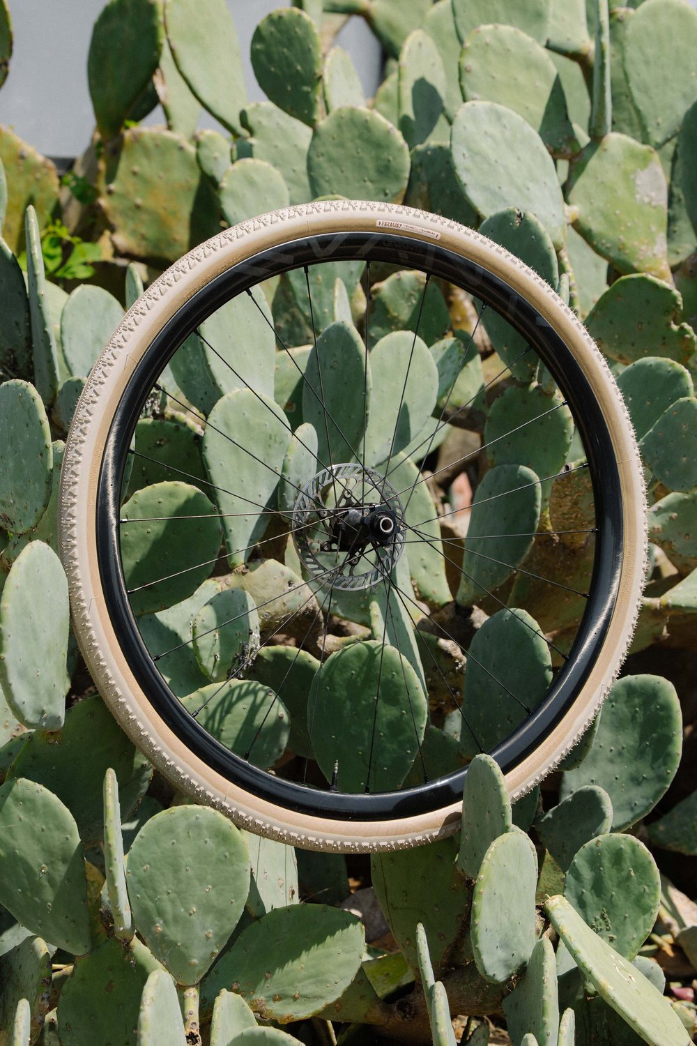 Vỏ Xe Đạp Tomii Cycles x Simworks Faraway Tire (one tire)