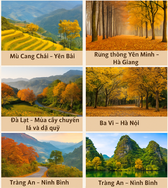 Top điểm ngắm mùa thu lá vàng lá đỏ tại Việt Nam