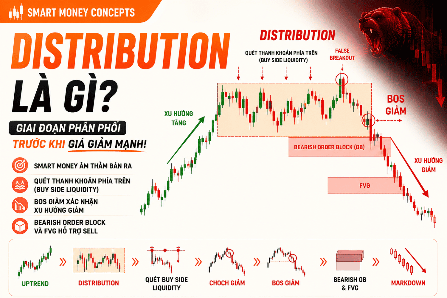 Distribution là gì? Cách Nhận Biết Giai Đoạn Phân Phối Trong SMC