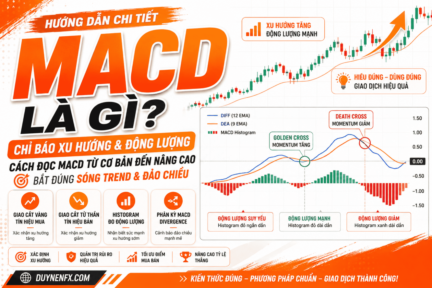 Hướng Dẫn Sử Dụng MACD Hiệu Quả Từ Cơ Bản Đến Nâng Cao Cho Trader