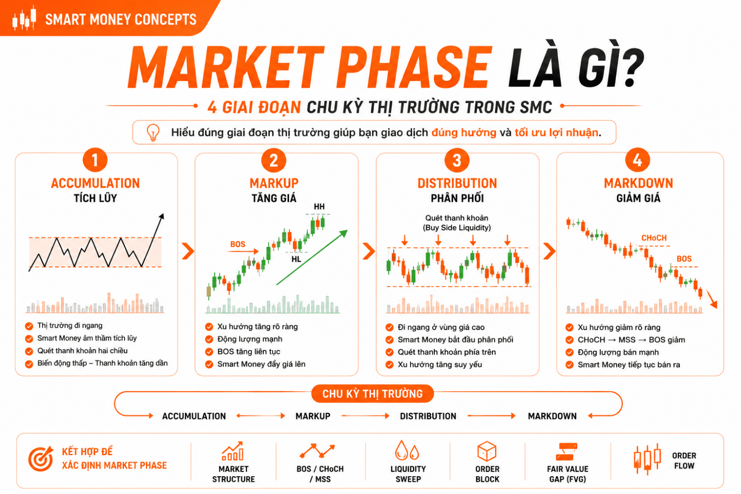 Market Phase là gì? 4 Giai Đoạn Chu Kỳ Thị Trường