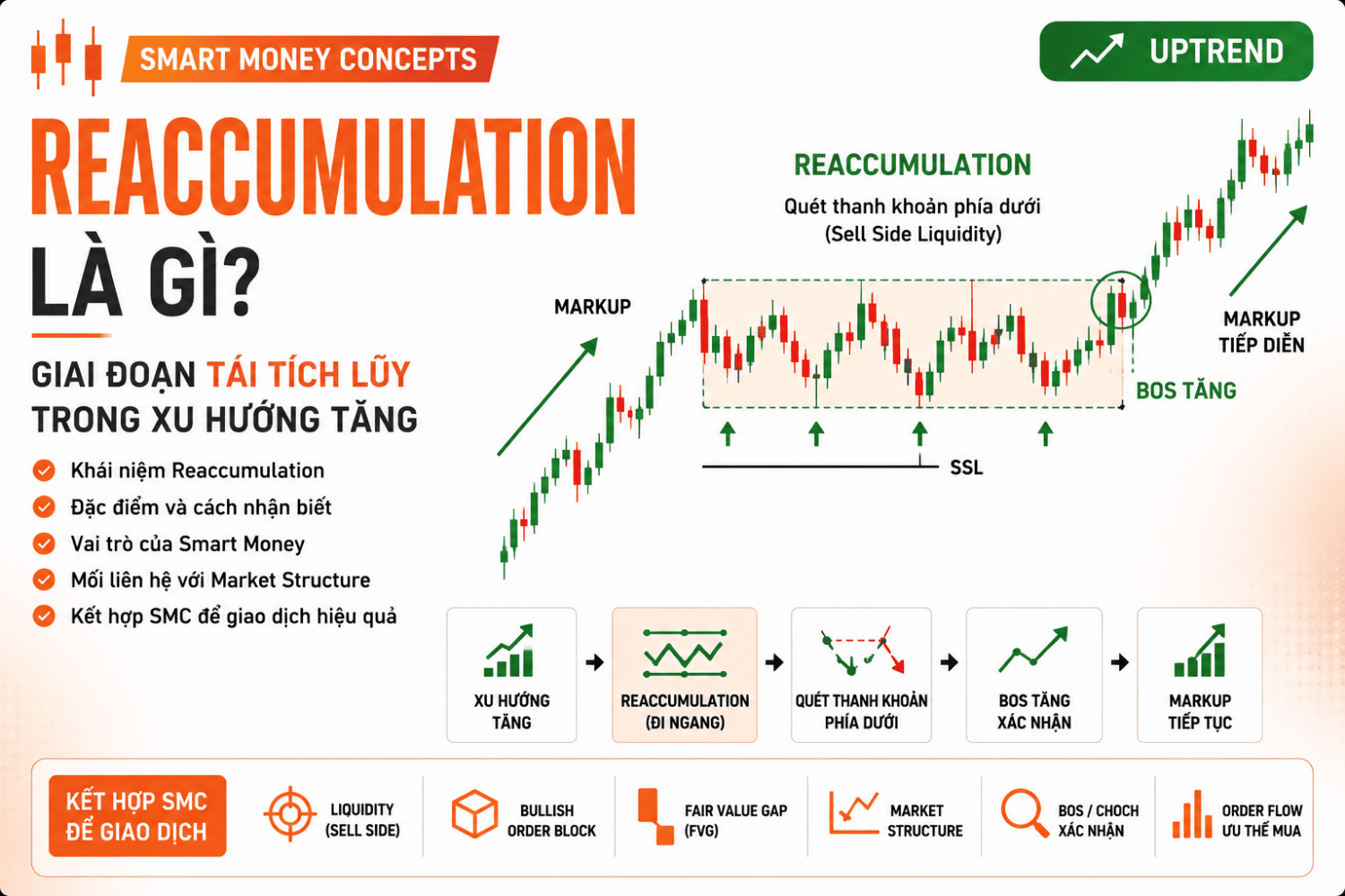 Reaccumulation là gì? Cách Nhận Biết Giai Đoạn Tái Tích Lũy Trong SMC