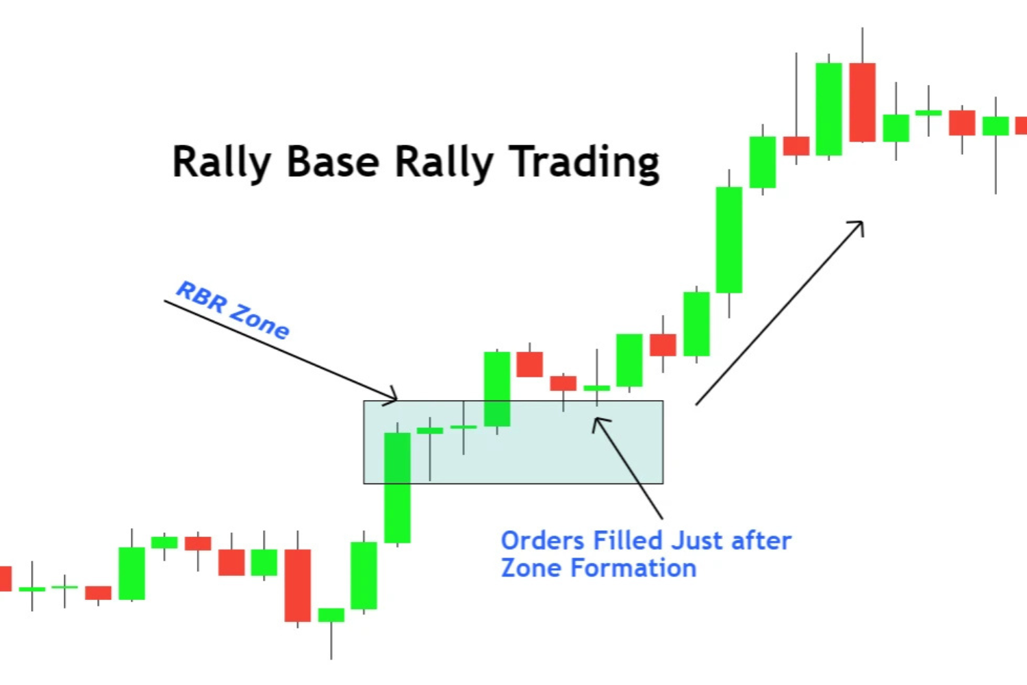rally-base-rally-forex