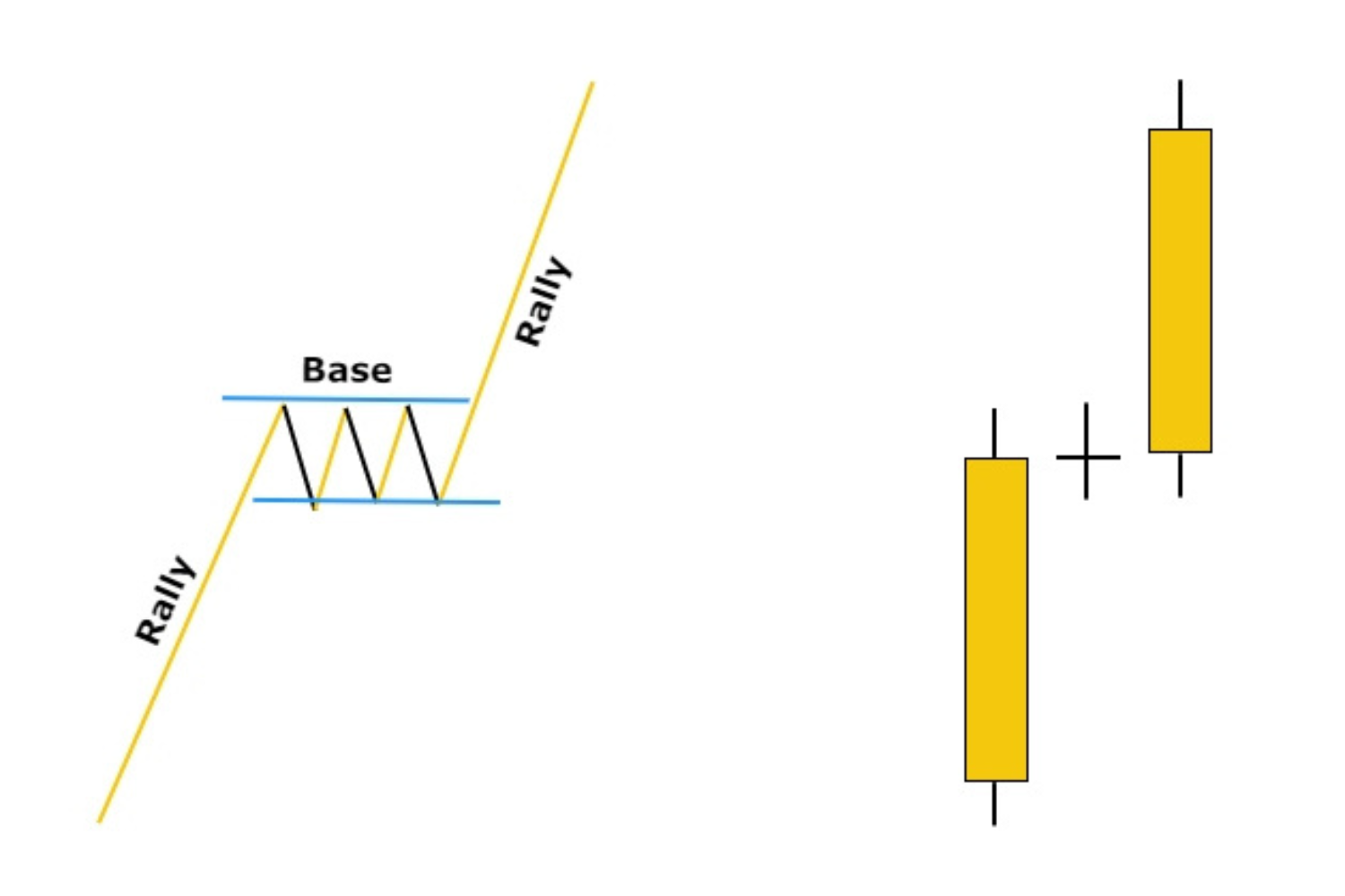 rally-base-rally