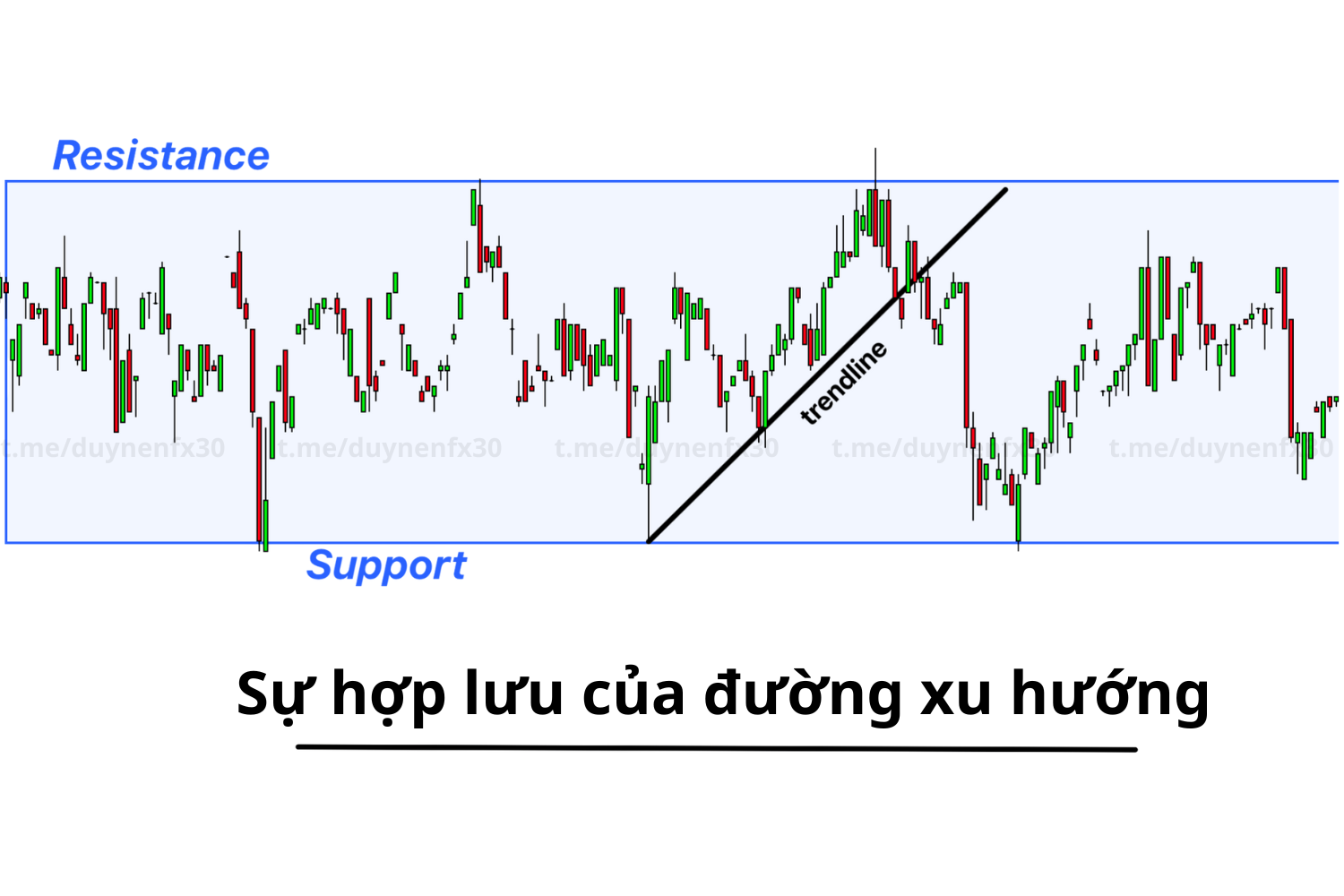 su-hop-luu-cua-duong-xu-huong