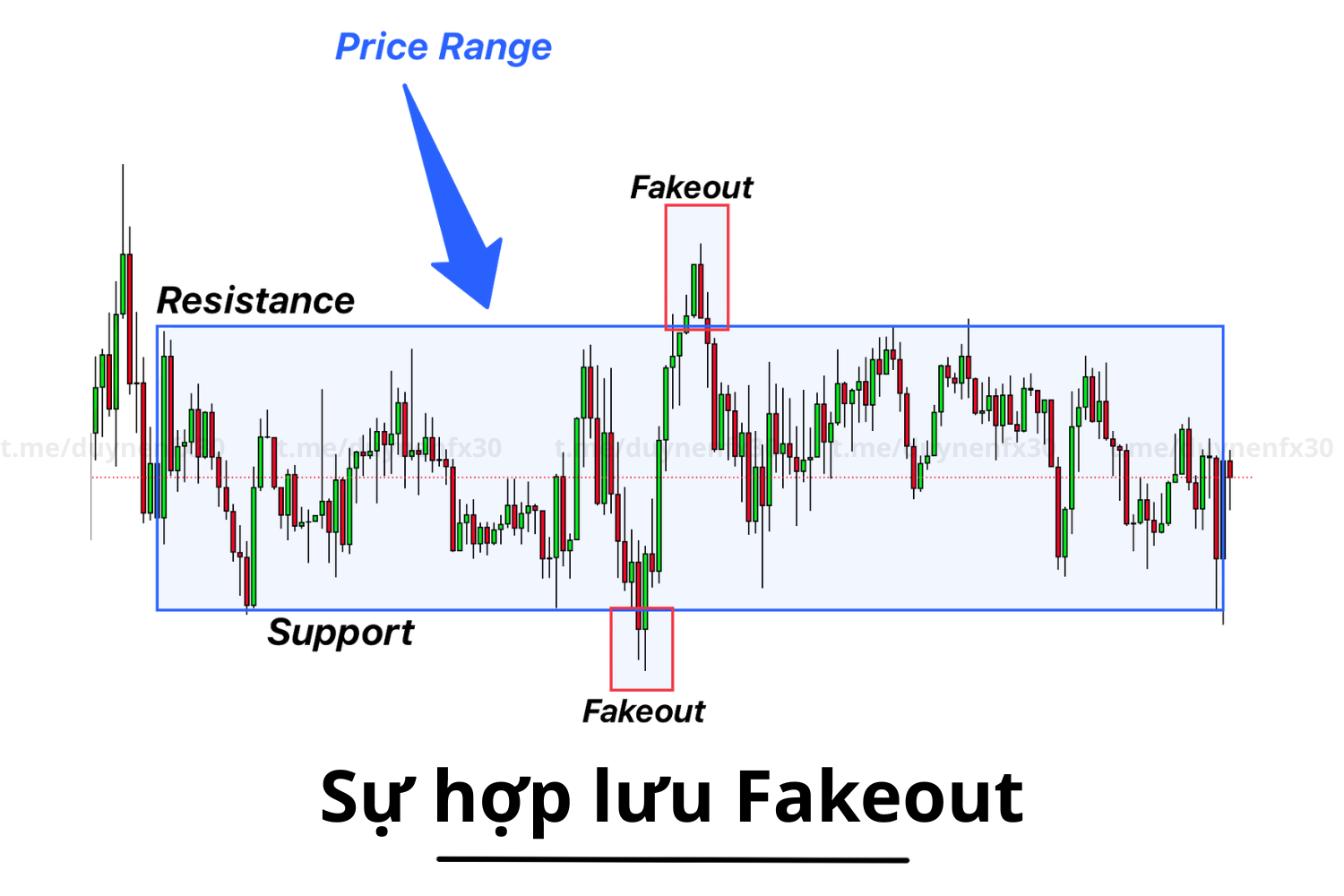 su-hop-luu-fakeout