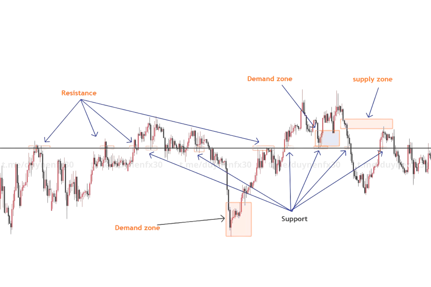 ho-tro-khang-cu-khac-supply-and-demand