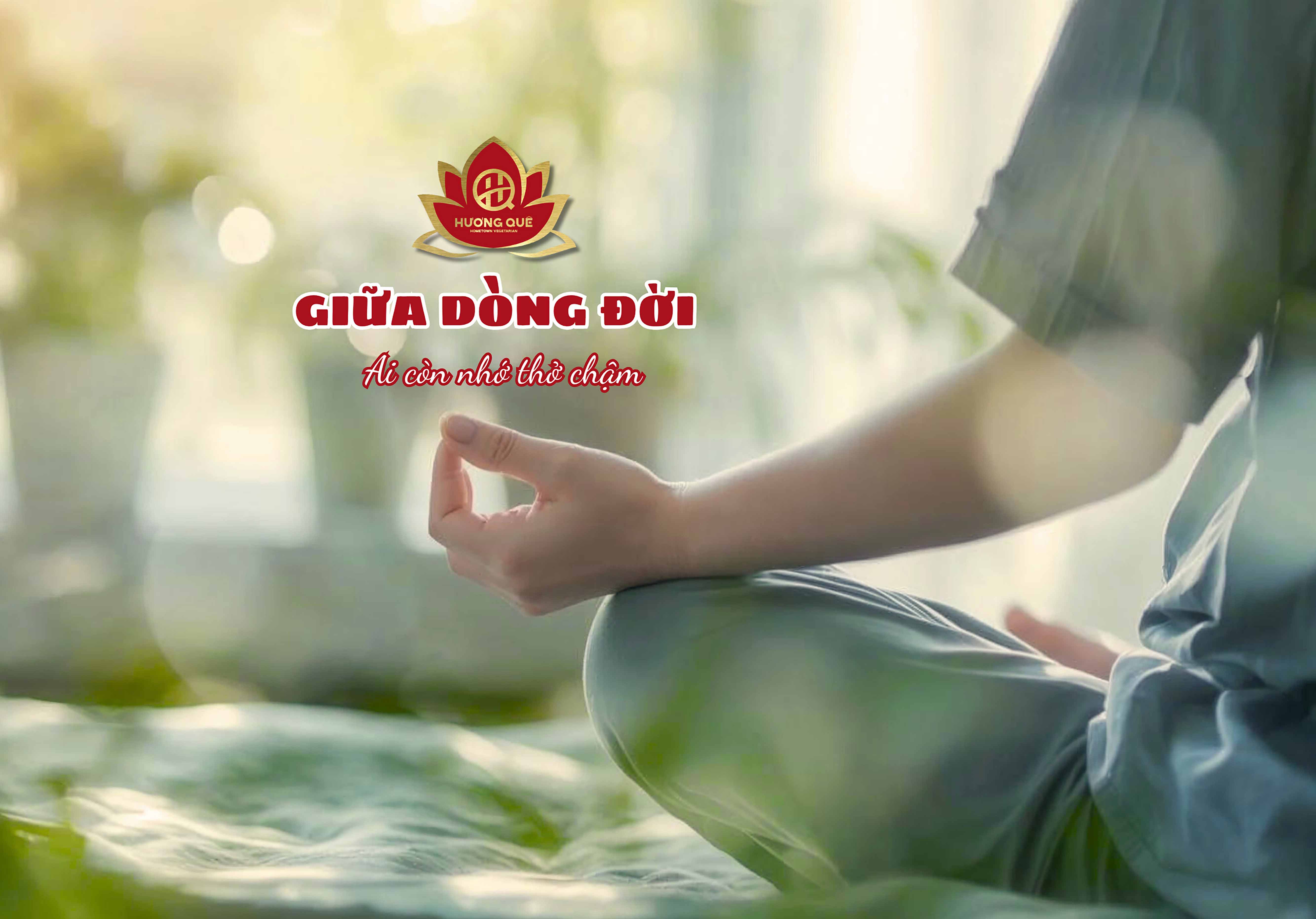 GIỮA DÒNG ĐỜI, AI CÒN NHỚ THỞ CHẬM? 🍂