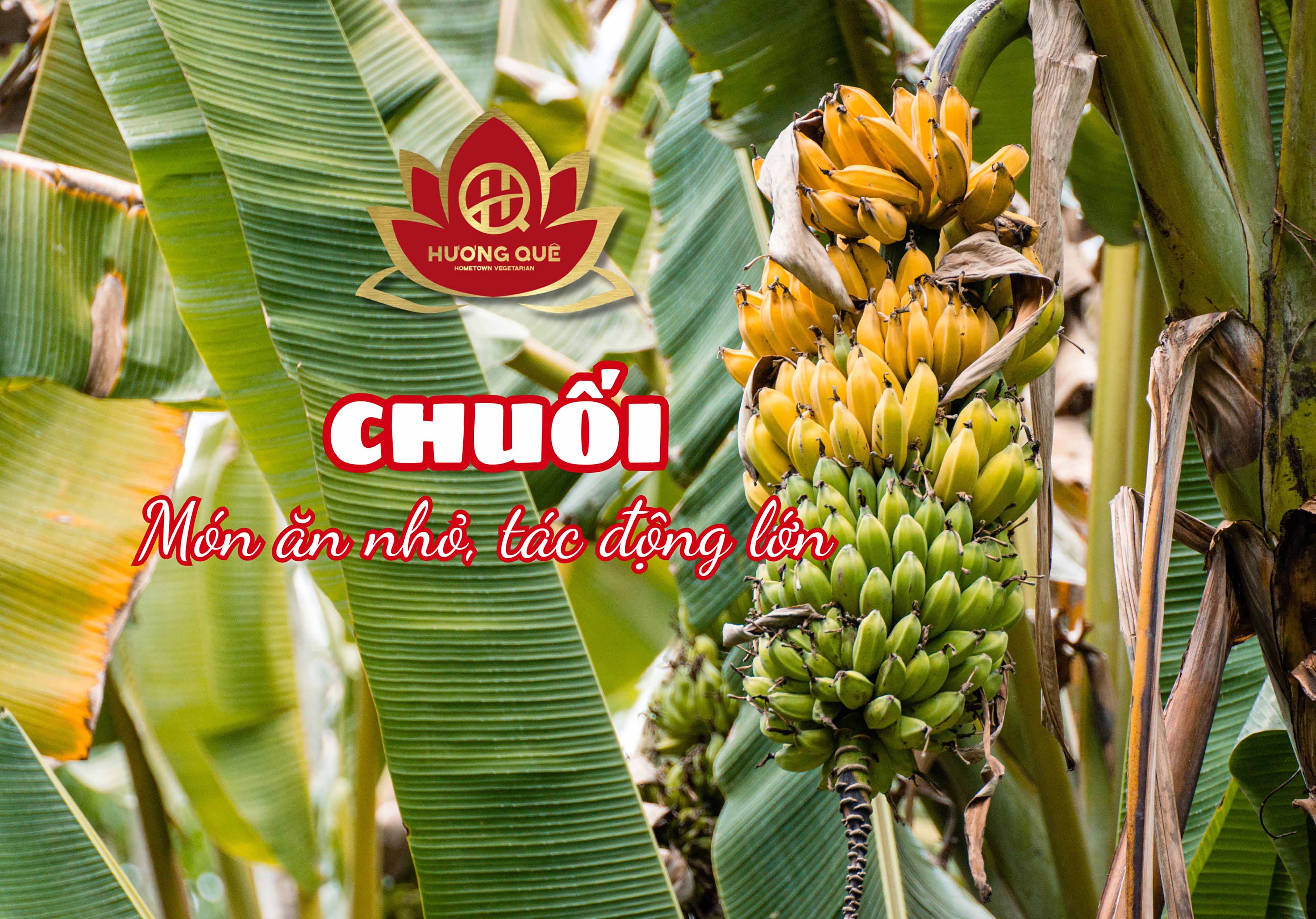 CHUỐI – MÓN ĂN NHỎ, TÁC ĐỘNG LỚN 🍌