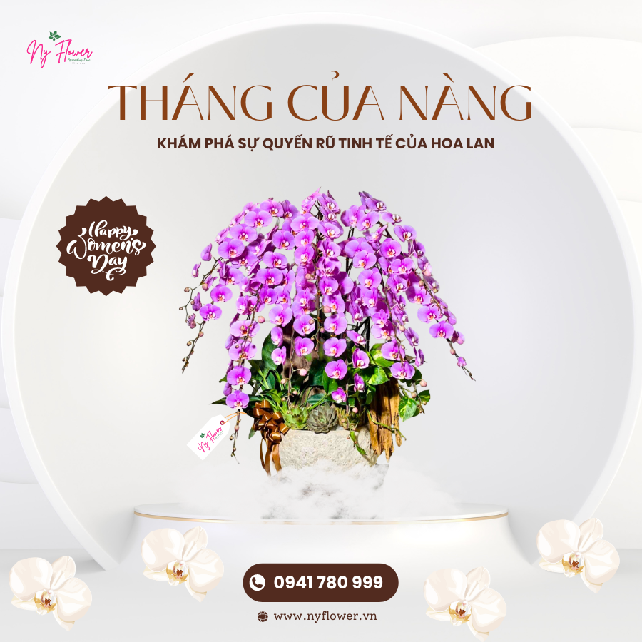 Lan Hồ Điệp - Chậu Trung
