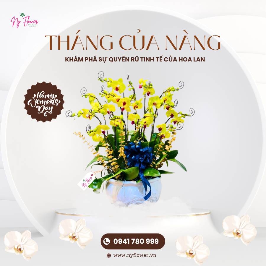 Lan Hồ Điệp - Chậu Trung