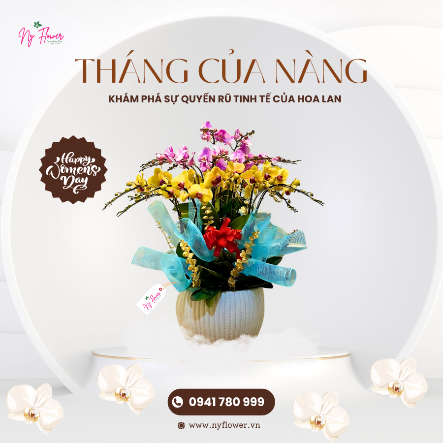 Lan Hồ Điệp - Chậu Trung