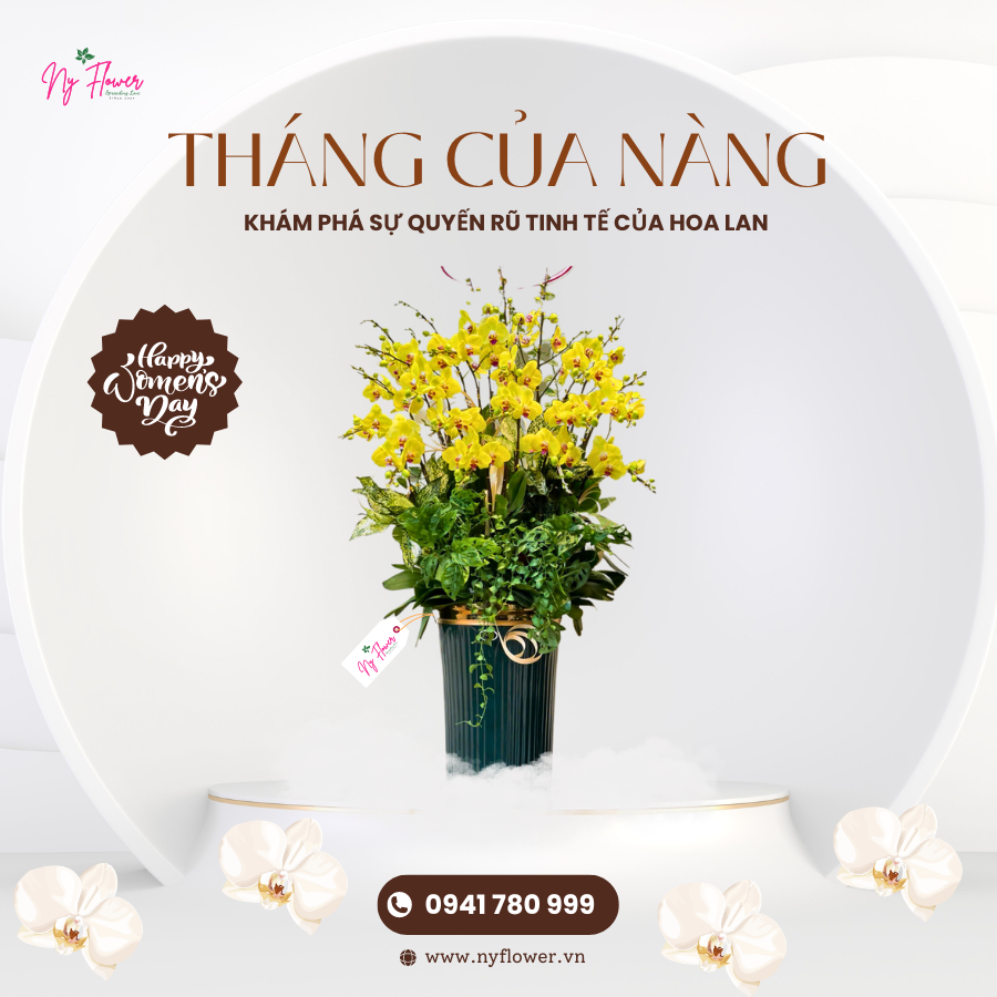 Lan Hồ Điệp - Chậu Trung