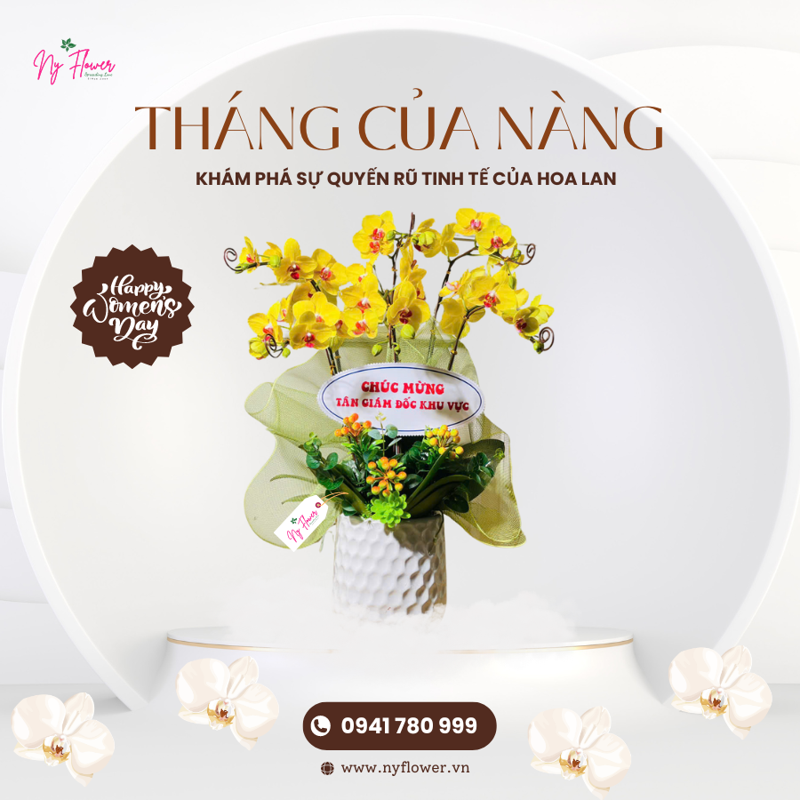 Lan Hồ Điệp - Chậu Trung