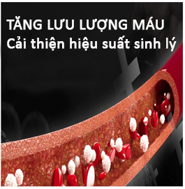 Viagrastore.vn