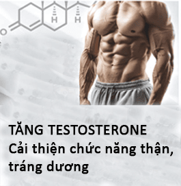 Viagrastore.vn