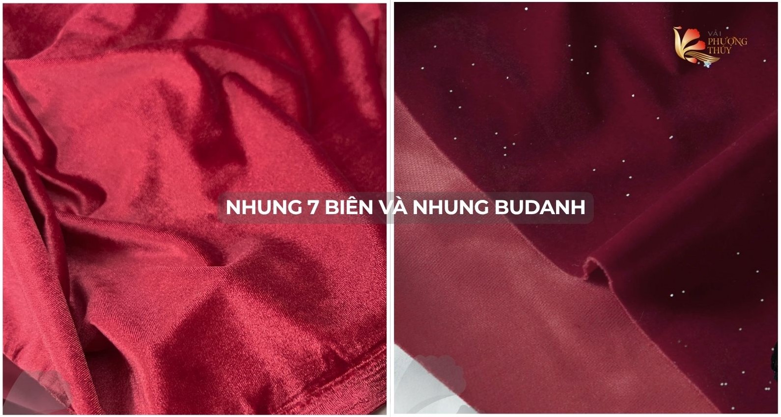 So sánh nhung 7 biên và nhung budanh, gợi ý cách lựa chọn