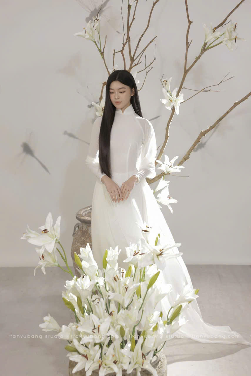 Áo dài chiffon