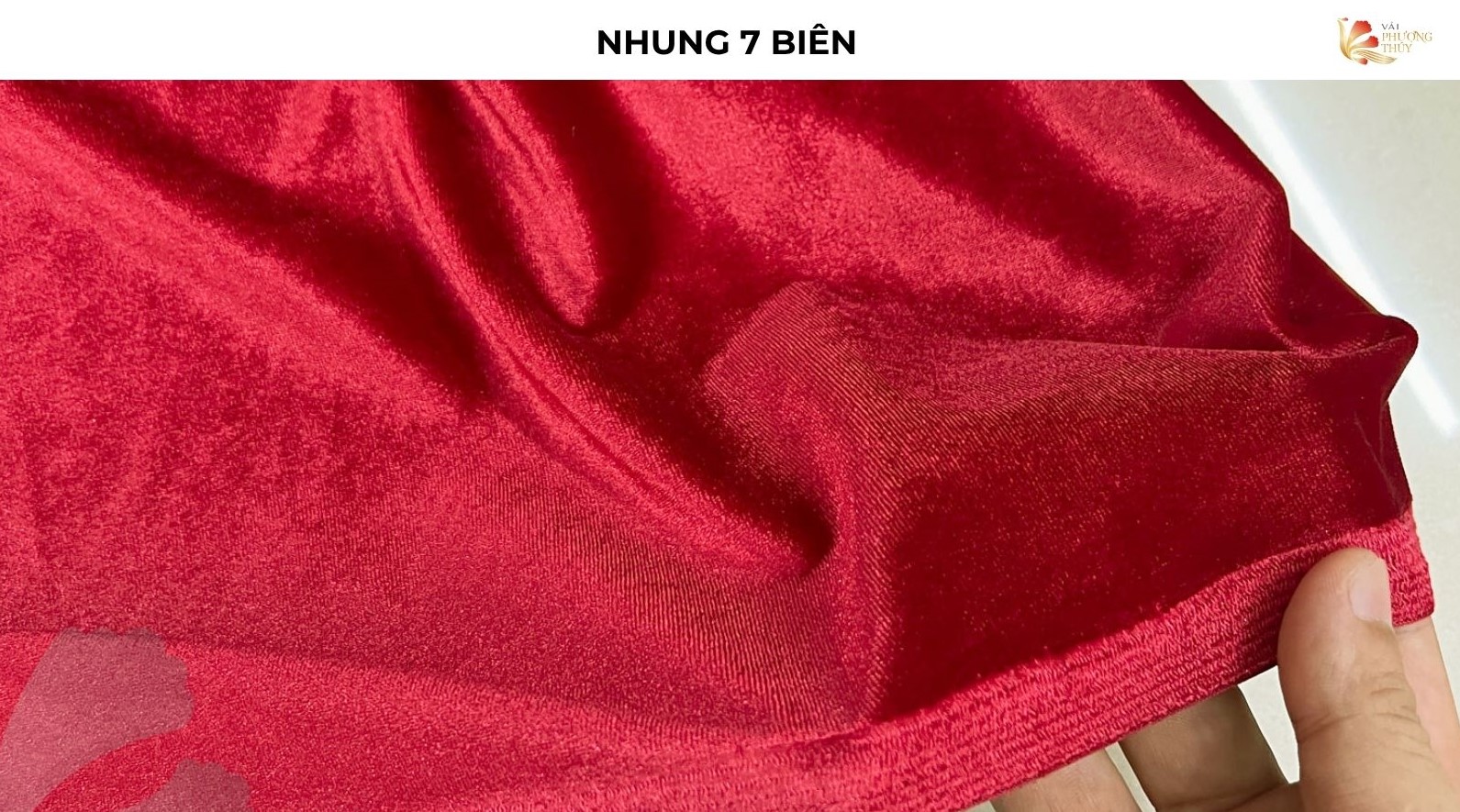 Nhung 7 biên