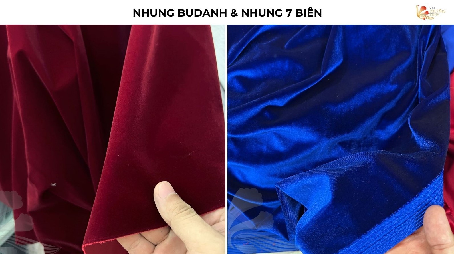 So sánh nhung budanh và nhung 7 biên