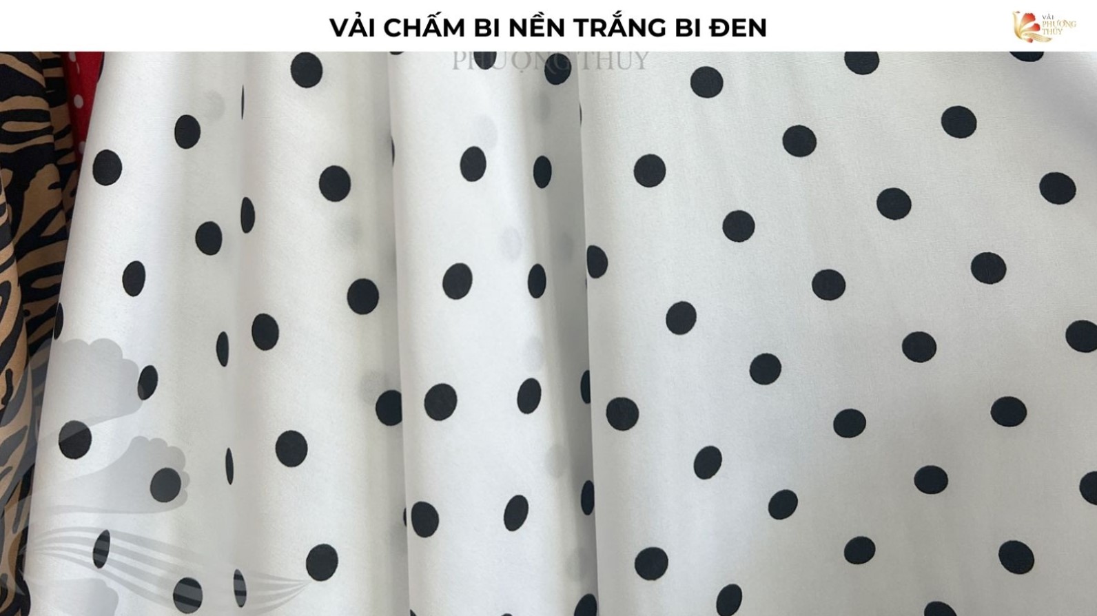 Vải chấm bi trắng đen