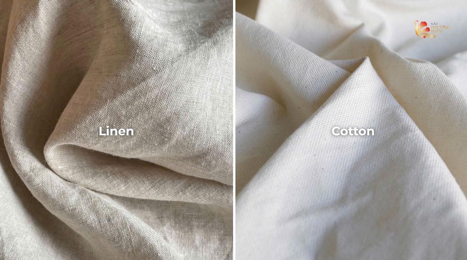 So sánh vải lanh và cotton - Chọn loại nào thì hợp?