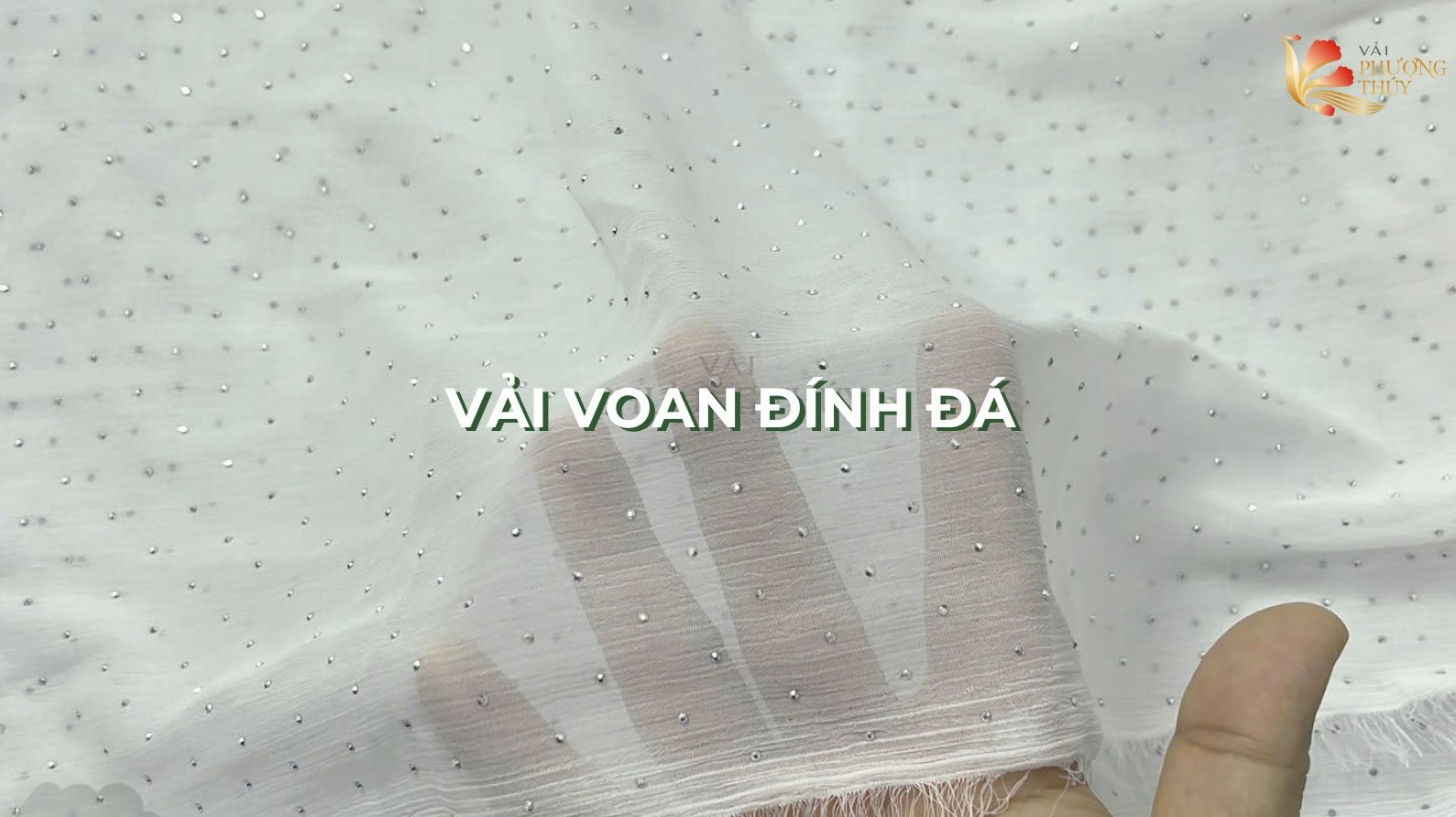 Vải voan đính đá Phượng Thúy
