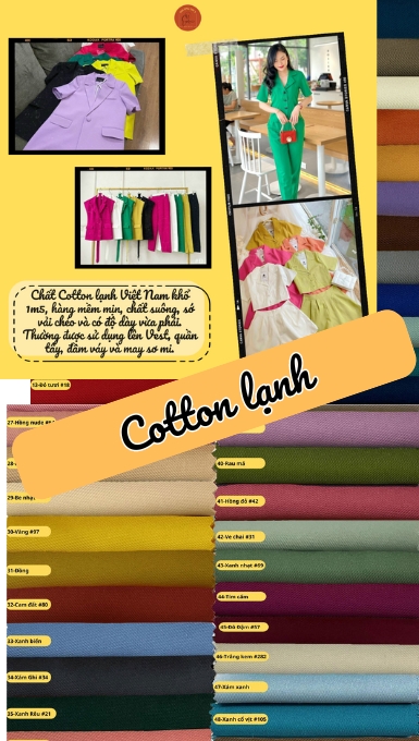 section_video_bg