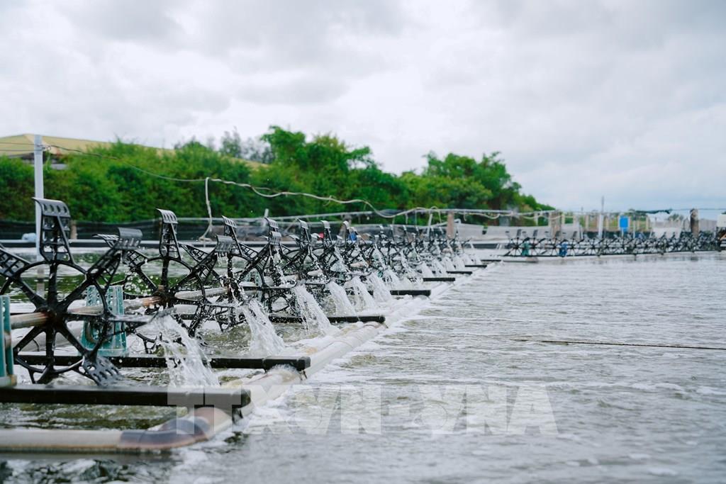 Phát triển kinh tế biển với trụ cột thủy sản và năng lượng xanh