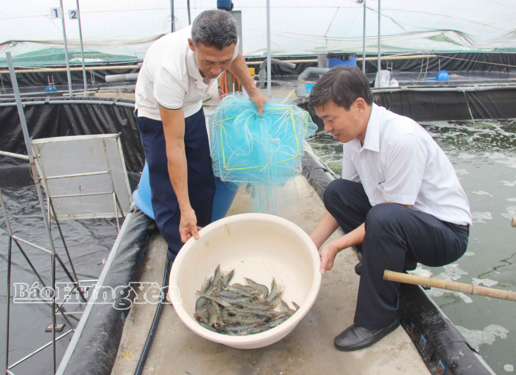 Xã Đông Thái Ninh: Phát triển thủy sản theo hướng bền vững