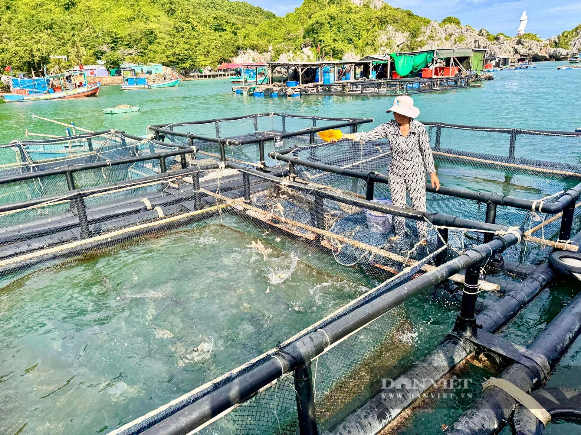 An Giang nghiên cứu xây dựng làng nuôi biển hiện đại