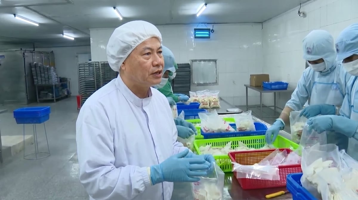 Phát triển chế biến thủy sản bền vững: Động lực nâng tầm xuất khẩu Việt Nam
