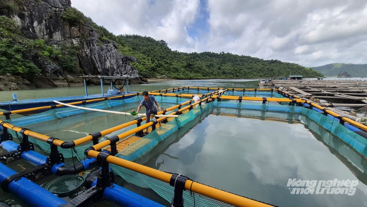 Đầu tư công nghệ, nâng tầm nuôi biển Quảng Ninh