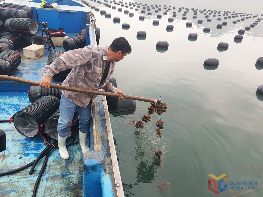 Ngành thủy sản bứt phá vượt bậc