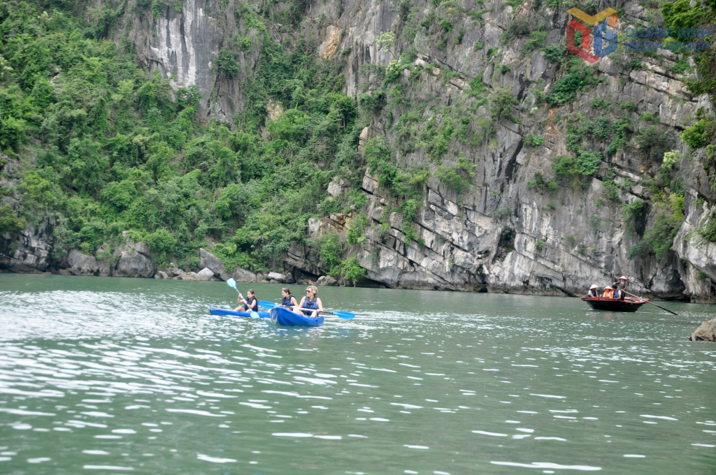 Kỳ 2: Hợp tác “4 bên” đảm bảo cân bằng giữa bảo tồn - sinh kế - thị trường