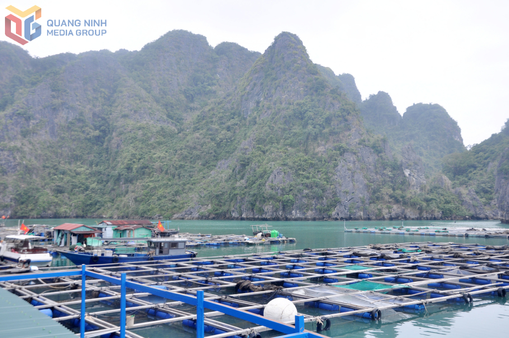 Khai thác du lịch gắn với nuôi trồng thủy sản tại Vân Đồn