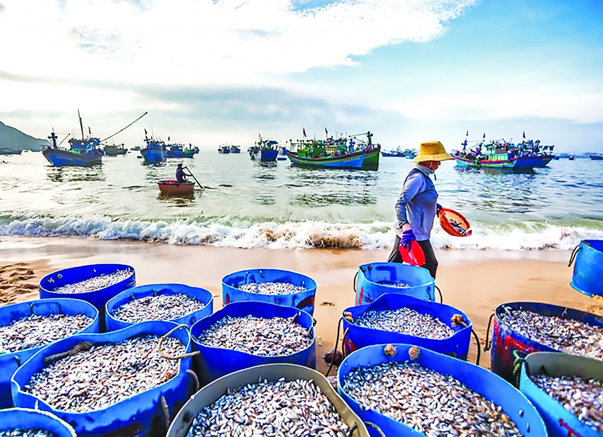 Mở không gian biển để dòng vốn ra khơi